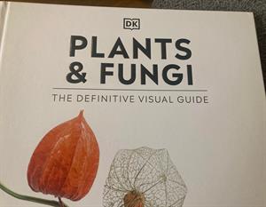 Plants & Fungi 